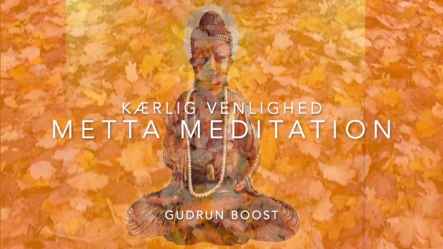 Metta meditation